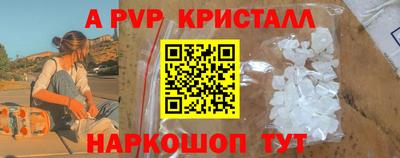 СК Донецк