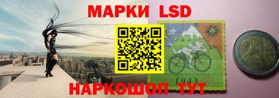 СК Донецк