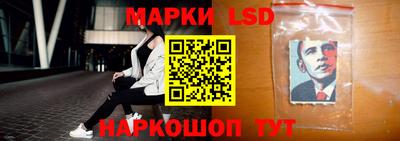 СК Донецк